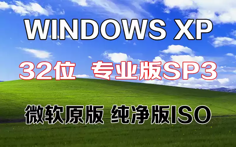 xp555.webp